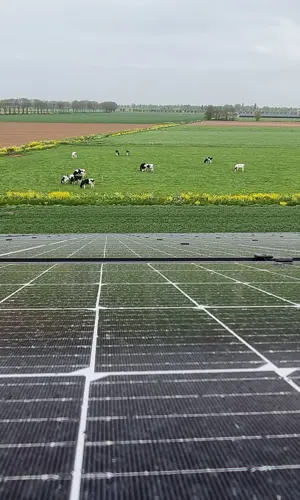 20210415 Alphen (16)